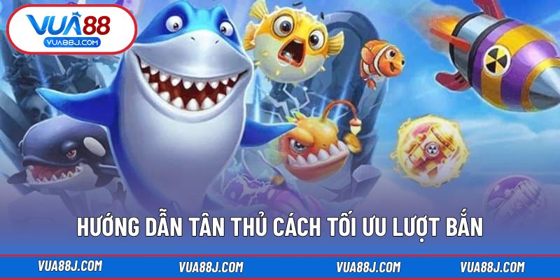 Hướng dẫn tân thủ cách tối ưu lượt bắn