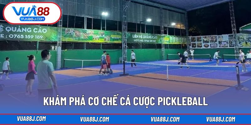 Khám phá cơ chế cá cược pickleball