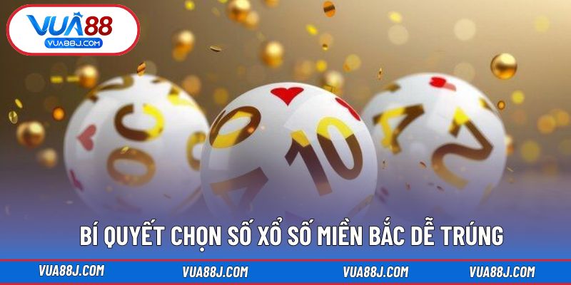 Một số cách chọn số hiệu quả từ kinh nghiệm thực tế