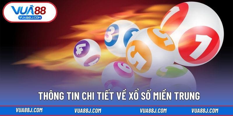 Nắm rõ cách vận hành giúp tra cứu chính xác hơn